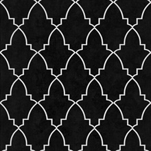 Medina Trellis Black Peel and Stick Wallpaper