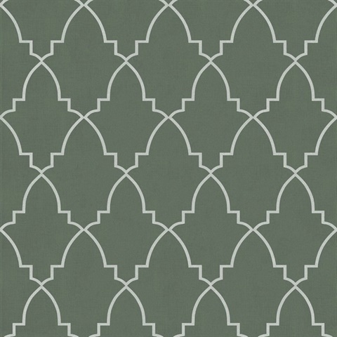Medina Trellis Green Peel and Stick Wallpaper