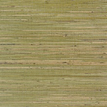 Meilin Moss Natural Grasscloth Wallpaper