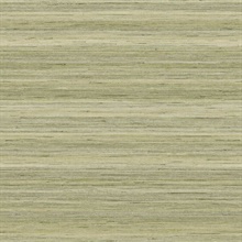 Meiya 27 Seagrass Horizontal Stria Wallpaper