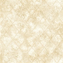 Mercury Glass Gold Distressed Metallic