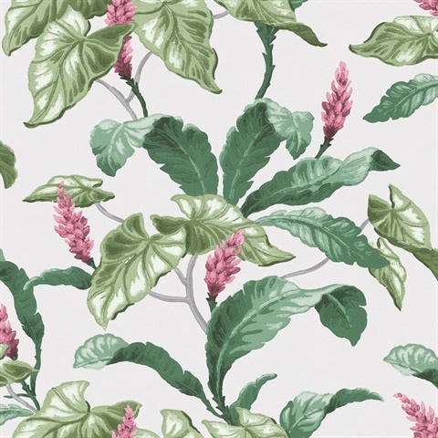 Meridian Parade Green Tropical Leaves Wallpaper