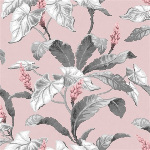 Meridian Parade Pink Tropical Leaves Wallpaper