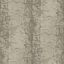 Metal Paneling