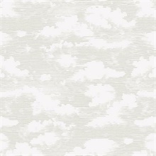 Metallic Glint Cloud Cover Prepasted Wallpaper