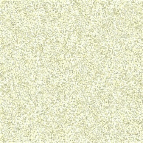 Metallic Gold & White Champagne Metallic Polka Dots Rifle Paper Wallpa