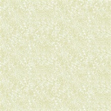 Metallic Gold & White Champagne Metallic Polka Dots Rifle Paper Wallpa