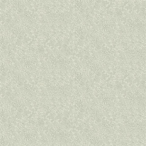 Metallic Silver & Grey Champagne Metallic Polka Dots Rifle Paper Wallp