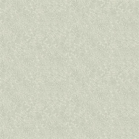 Metallic Silver & Grey Champagne Metallic Polka Dots Rifle Paper Wallp