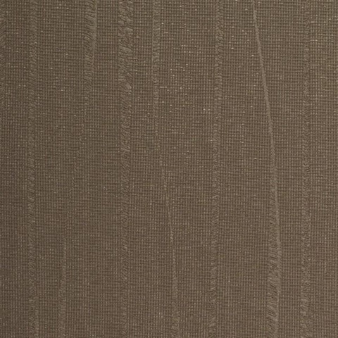 Meyer Cocoa