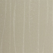 Meyer Sea Shell