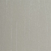 Meyer Shine