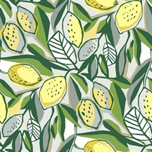 Meyer Yellow Citrus Floral Wallpaper