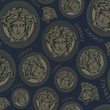 Midnight Sky Monarch Versace Italian Wallpaper