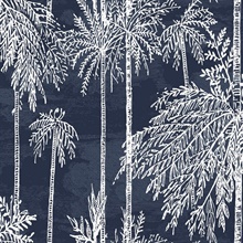 Midnight Sky Palm Tree Grove Wallpaper