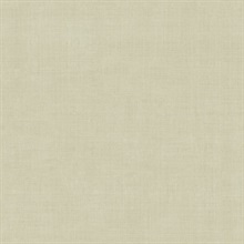 Midolin Khaki Texture Wallpaper