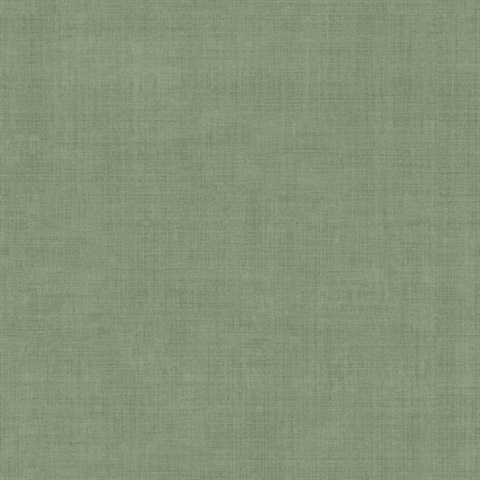 Midolin Moss Texture Wallpaper