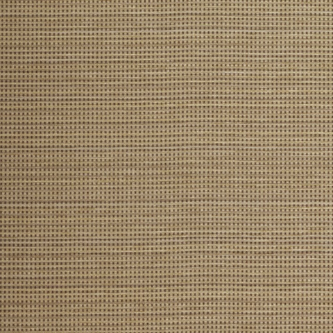 MIF4005