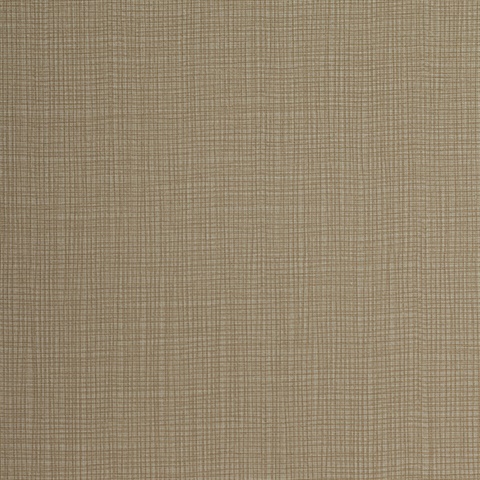 MIF4045