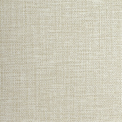 MIF4051