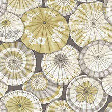 Mikado Ochre Parasol