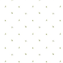 Miniture Leaf Spot Wallpaper