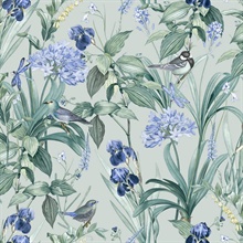 Mint Birds and Dragonflies Botanical Teal Ground Wallpaper