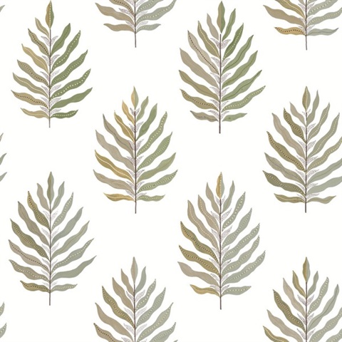 Miramar Desert Palm Mediterranean Palm Leaf Wallpaper