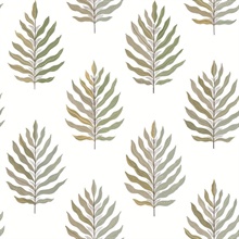 Miramar Desert Palm Mediterranean Palm Leaf Wallpaper