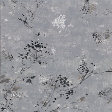 Misty Charcoal Distressed Dandelion Wallpaper