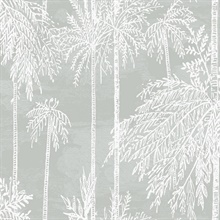 Misty Palm Tree Grove Wallpaper