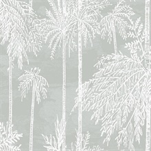 Misty Palm Tree Grove Wallpaper