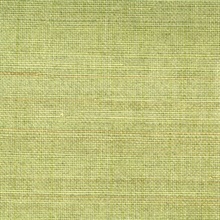 Miyo Green Grasscloth