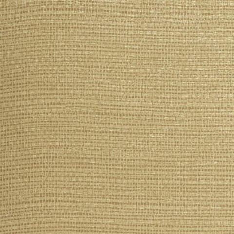 MLD3009