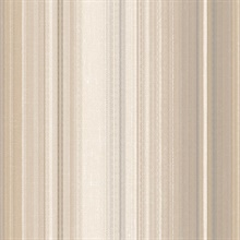 Modern Multicolored Stripe
