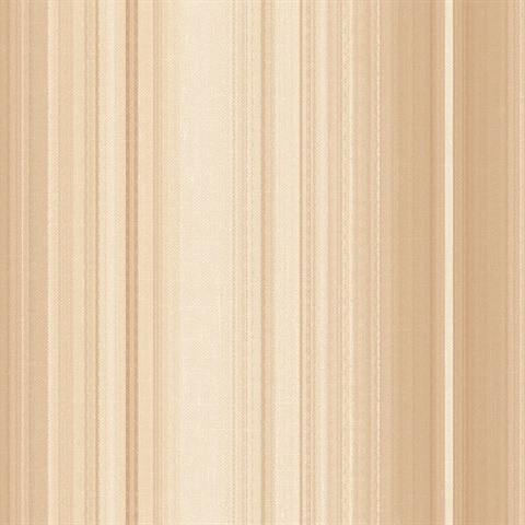 Modern Multicolored Stripe