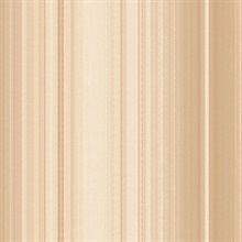Modern Multicolored Stripe