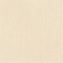 Modern Screen