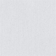 Modern Screen