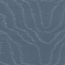 Moire Sauvage 47261