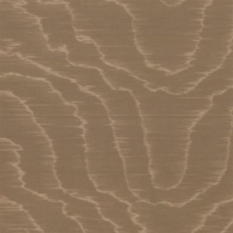 Moire Sauvage 47264