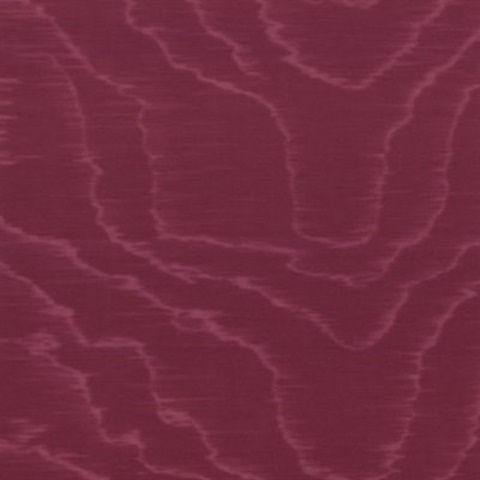 Moire Sauvage 67701