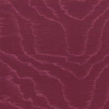 Moire Sauvage 67701