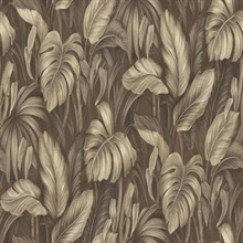 Monstera Coffee Wallpaper