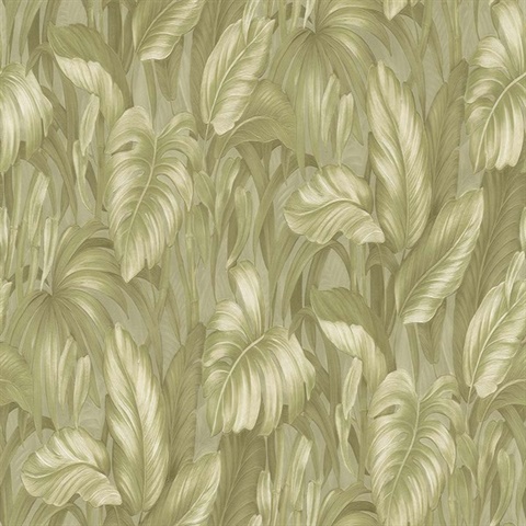Monstera Garden Wallpaper