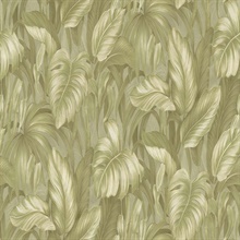 Monstera Garden Wallpaper