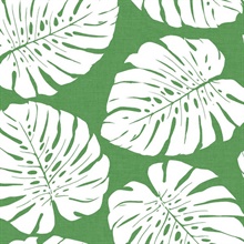 Monstera Leaf Botanical Green Peel and Stick Wallpaper