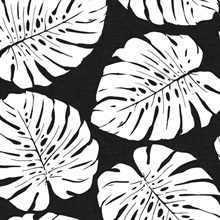 Monstera Leaf Botanical Shadow Peel and Stick Wallpaper