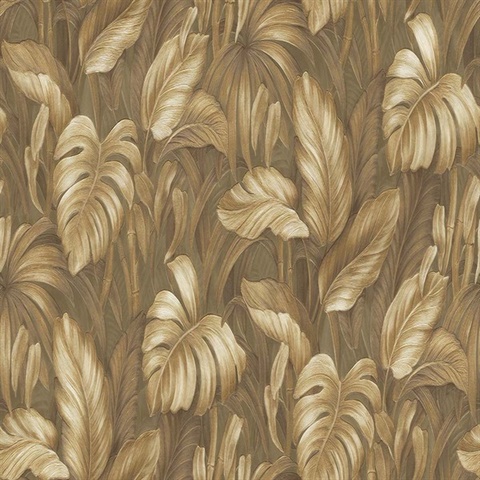 Monstera Umber Wallpaper