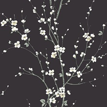 Monterey Black Floral Branch Wallpaper